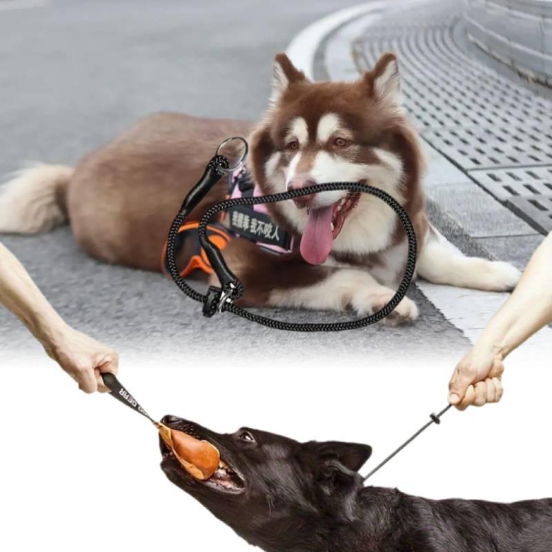 Durable And Comfortable Pet Training Choke Rope For Large Dogs Black Nylon Design