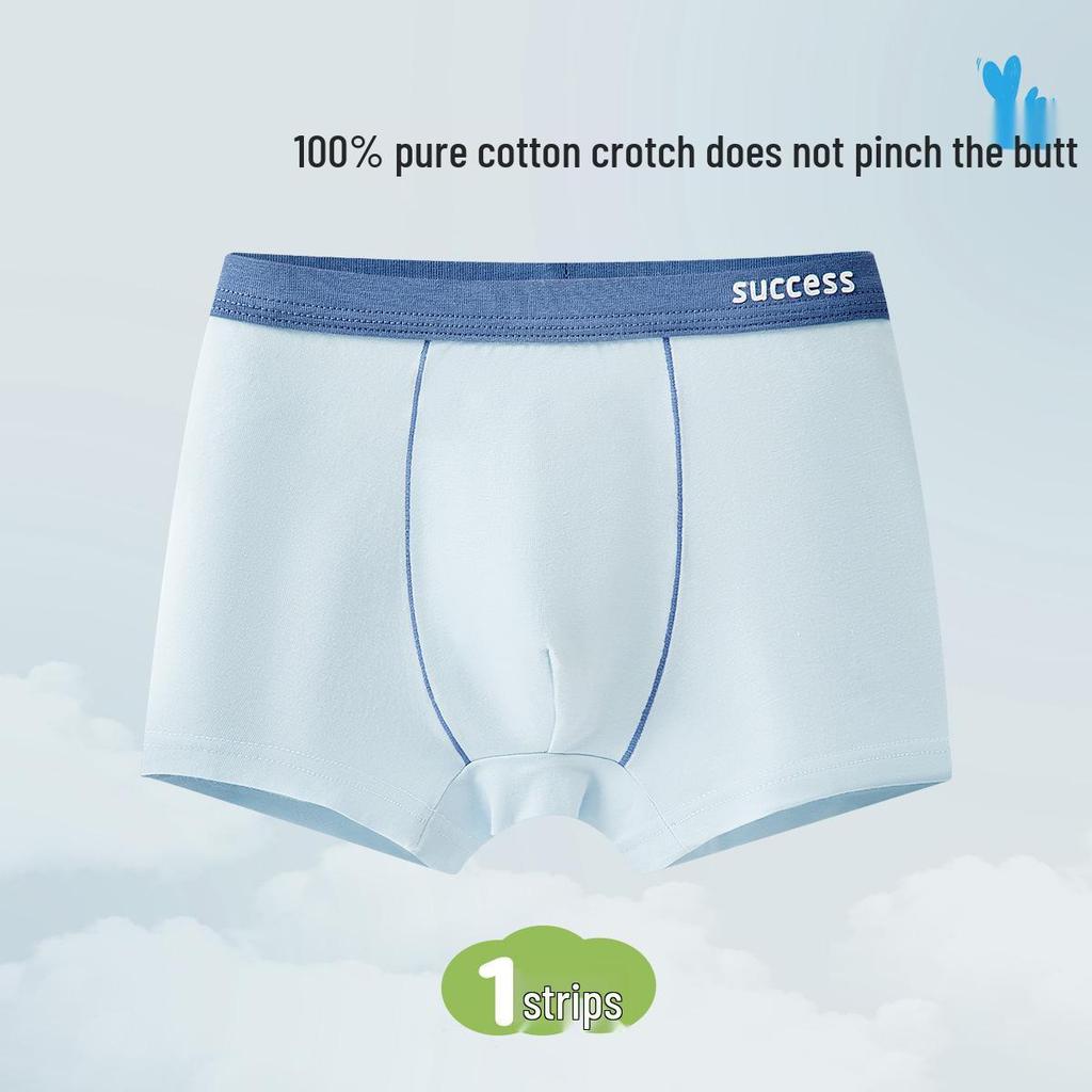Boys' Pure Cotton Class A Underwear - Teen & Large Sizes, Full Cotton Crotch, Antibacterial Boxer Briefs