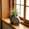 3D Printed Elephant Planter Pot, Cute Small Desktop Ornaments, Multi-Purpose Flowerpot And Pen Holder, Simple Home Office Decor