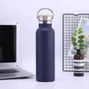 Stainless Steel Water Bottle with Handle Lid, Double Wall Vacuum Insulated Bottle for Sports Hiking Gym