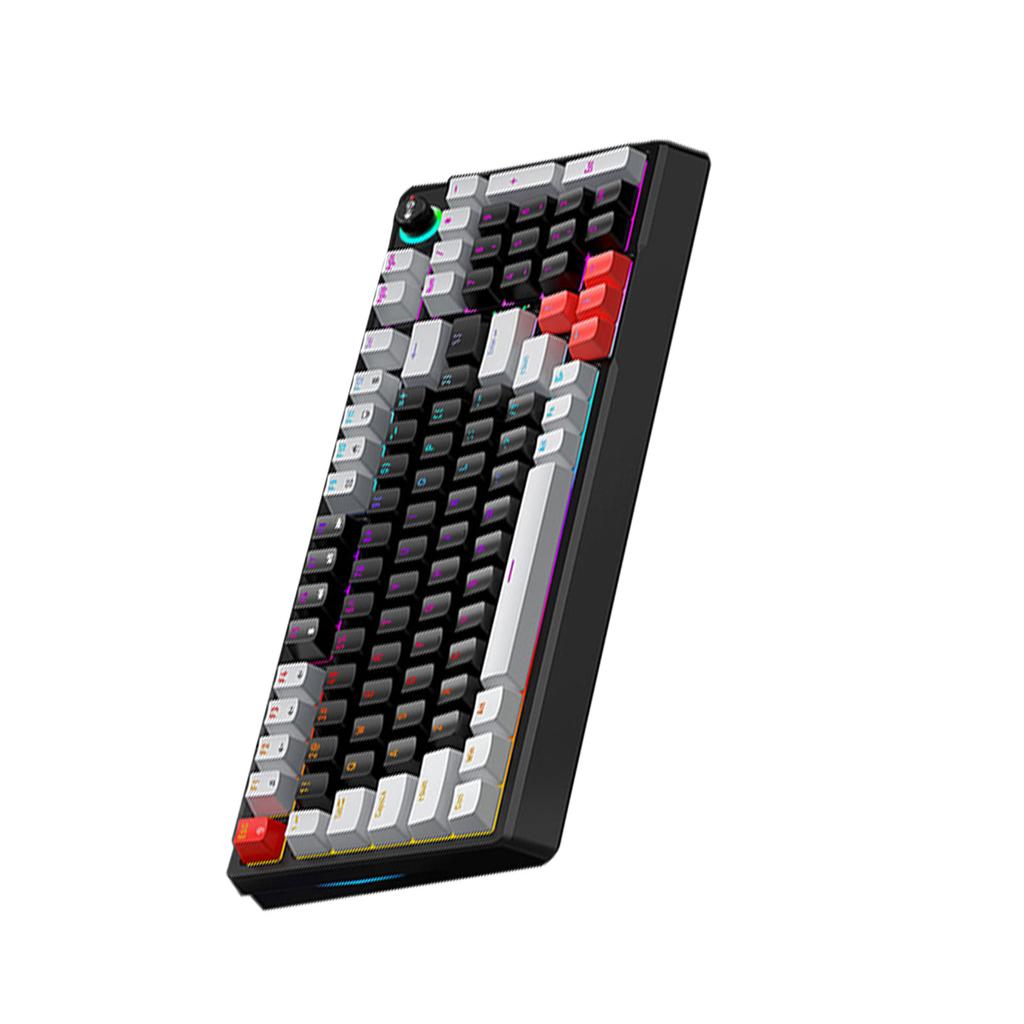 T WOLF T50 RGB Mechanische Tastatur 98 Tasten Hot-Swap Blue Switch mit Dynamischer Beleuchtung Ergonomisches Design für PC
