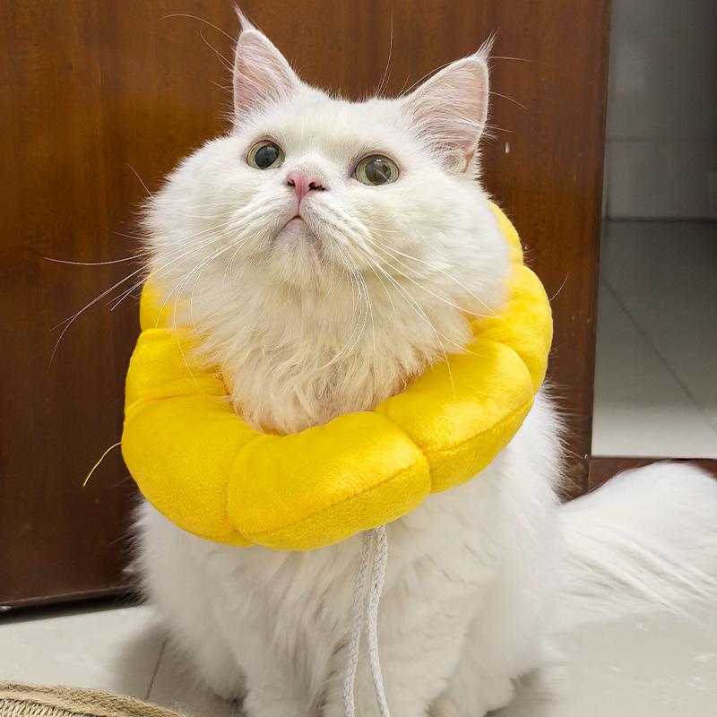 A White Cotton Collar for Cats To Prevent Them From Breaking Free, A Soft and Delicate Collar for Young Cats