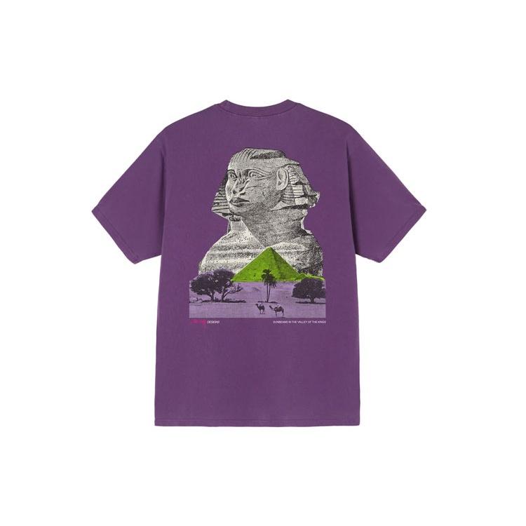 Stussy FW21 Tee Unisex 1904752