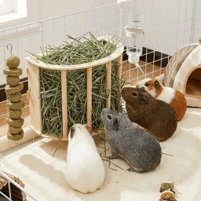 Wooden Bunny Hay Feeder Hanging Fixed Grass Dispenser Rabbit Hay Holder Built-in Detachable Ferret Hay Manger Small Animals Cage