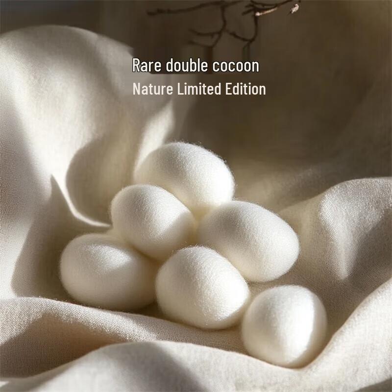 Mercury Home Textiles Mulberry Silk Quilt with Cotton Sateen Cover