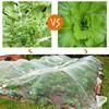 Cross-Border Agricultural Greenhouse Insect Net: Nylon Mesh for Vegetable Growth and Garden Protection