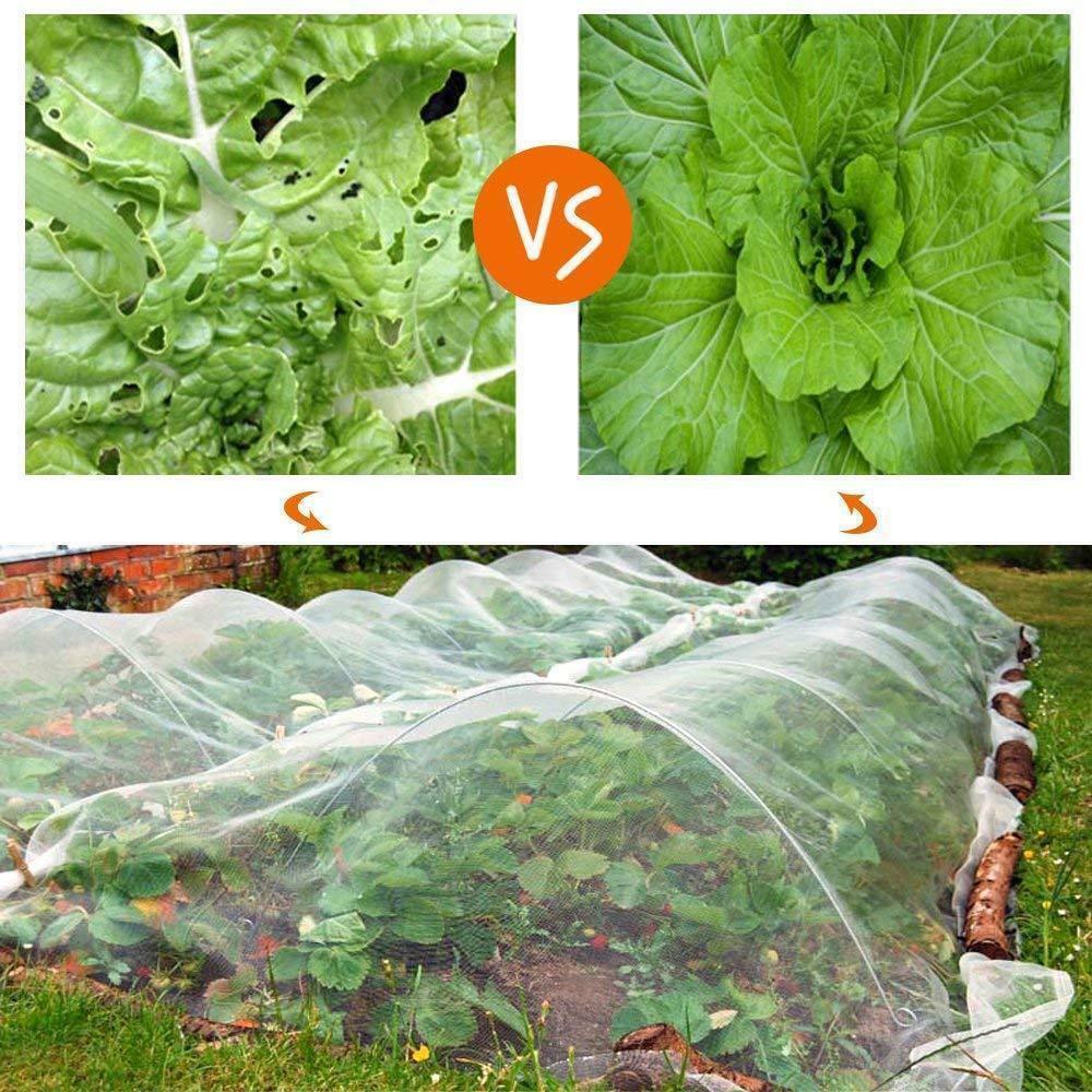 Cross-Border Agricultural Greenhouse Insect Net: Nylon Mesh for Vegetable Growth and Garden Protection