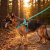 No Pull Dog Harness Front Adjustable Pet Vest Breathable Soft Padded Material Heavy Duty D Ring Sturdy Great Dog Accessories