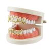 Ozdoby i biżuteria – Grillz
