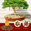 4pcs Miniature Campfire Model Resin Fake Fire Decorations for Garden Bonsai and Party Settings Charming Bonfire Props for DIY Micro Scenes and Unique