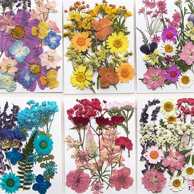 Pressed Flower and Dried Flower Craft Kit, Facial Decoration for Eye Corner Photo Props, DIY Resin Photo Frame with Petals