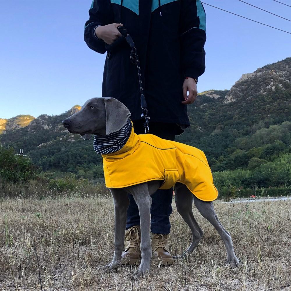 Pet Cotton Clothes Dog Clothes Double Collar Warm And Water-Proof Big Dog Clothes Manufacturer