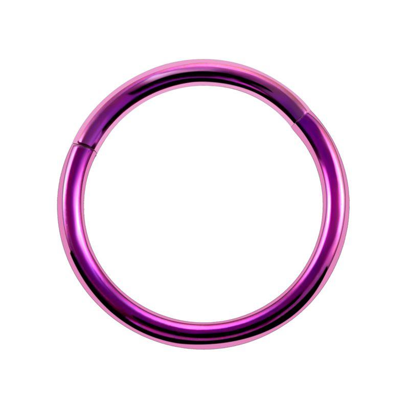 1 Stück G23 Titan Gelenk Segment Nasenring 16g & 14g Brustwarzen Clicker Ohrknorpel Tragus Helix Lippenpiercing Unisex Modeschmuck