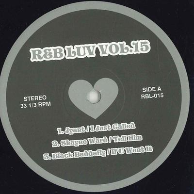 12-Zoll Schallplatte VERSCHIEDENE Rb Luv Vol. 15 RBL015 RB LUV US Rap  HipHopRB Gebraucht