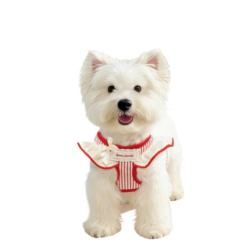 Adjustable Cat Harness Leash Set Small Cats Tiny Dogs - Soft Breathable Chest Back Style Walking Lead In Multiple