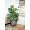 Planter Capi Europe Plastic Ø 43 Cm