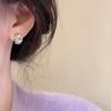 Korean Niche Exquisite Zircon Stud Earrings Women's New Foreign-style Earrings Light Luxury High-end Versatile Explosive Earrings