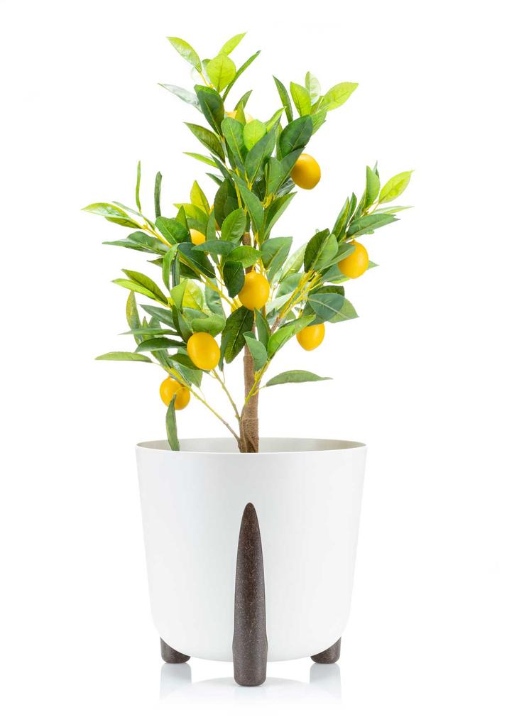 Donica Moss Biała 34Xh32 Cm