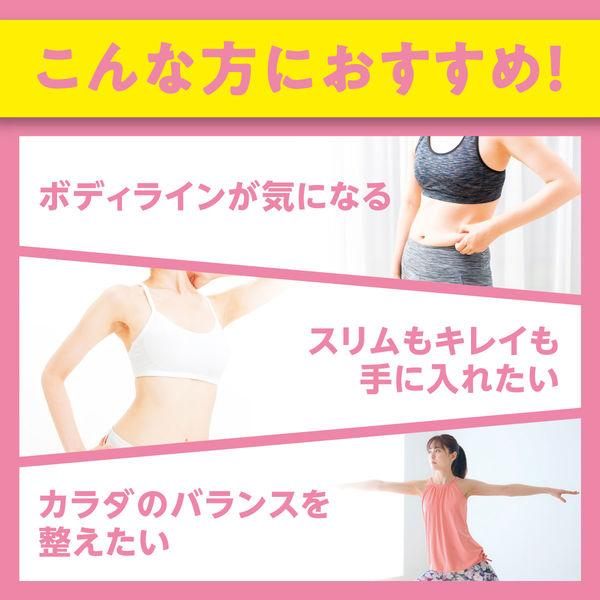 DHC Protein Diet B-Body Mango Flavor Smoothie – MCT Oil, Probiotics, Vitamins, Minerals, Collagen, Dietary Fiber, 300g S2266