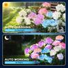 Solar 3 Heads Hydrangea Ground Lamps Outdoor Simulation LED Flower Stake Lights Waterproof Garden Party Decor