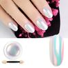 3g Glitter Holographic Rainbow Nail Art Powder Mirrr Pigment s mini štětečkem