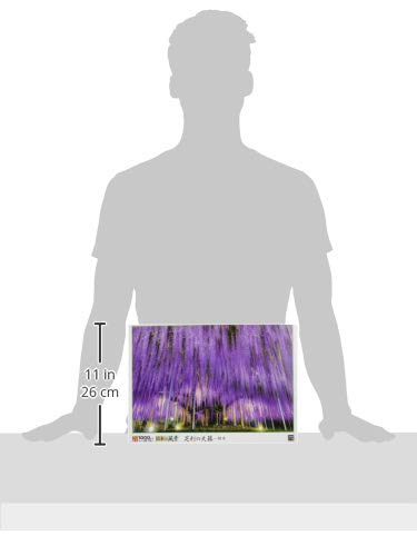 Epoch 1000-Piece Jigsaw Puzzle: Japanese Landscape: Ashikaga Wisteria - Tochigi (50x75cm) 10-806, Includes Glue, Spatula, and Score Ticket