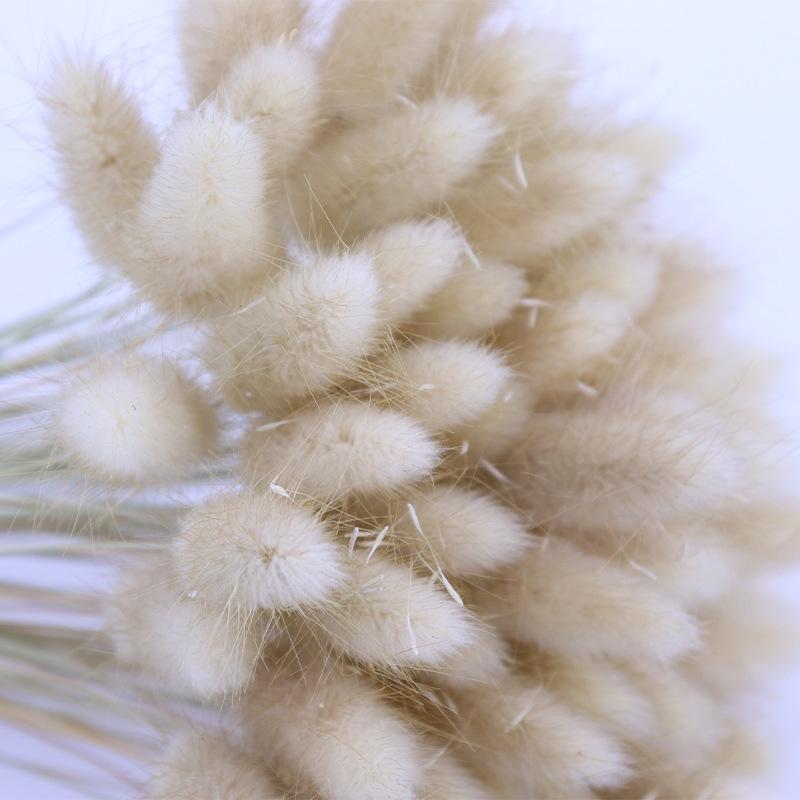 Yunnan Reed Whisk Rabbit Tail Grass Dried Flower Bouquet Production