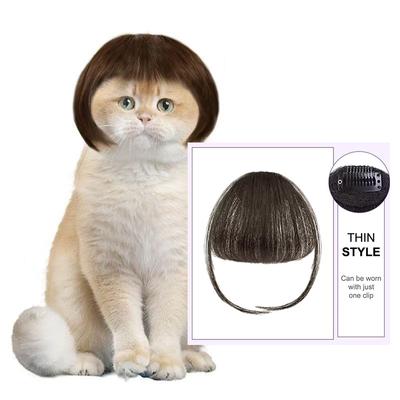 Legrační kočičí paruka Ořezávací paruka pro domácí mazlíčky Potřeby pro kočičí paruky Potřeby pro domácí mazlíčky Kreativní dekorace pro domácí mazlíčky Paruka Tenká lehká hladká paruka pro kočky Potřeby pro domácí mazlíčky