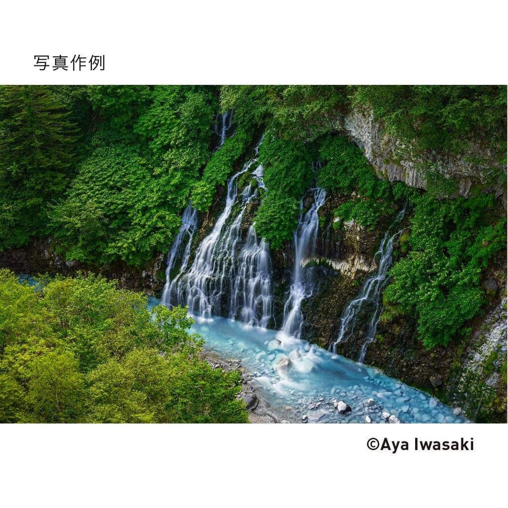 Sigma 24mm F2 DG DN Single for Mirrorless Contemporary Style Lens, L-Mount, Focus, Wide-Angle, Full-Frame Cameras,