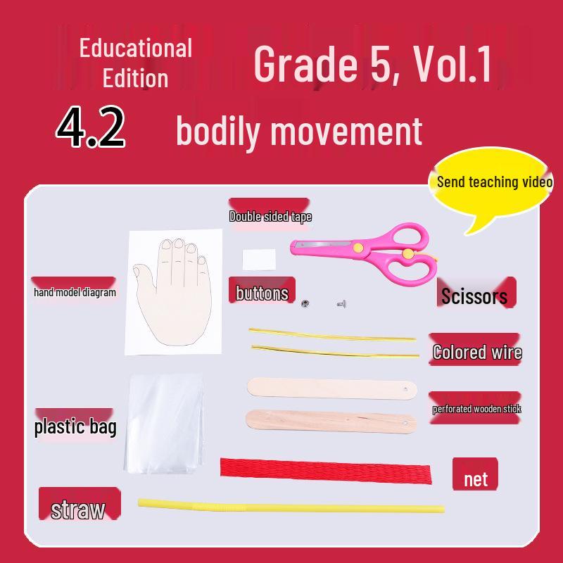 

Fifth Grade Semester 1 Science Experiment Kit & Teaching Aids on Body Movement