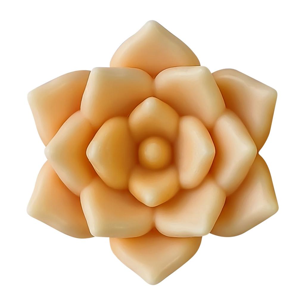 Succulent Plant Candle Gypsum Mold Nonstick Aromatherapys Silicone Molds Desktops Ornament Mold Home Decoration Molds