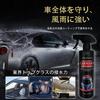 (16,9 fl oz (500 ml) (Verbessertes Modell) Auto , Deutsches High-Tech, Carsonic Nanometer