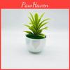 Succulent Desert Simulated Plant Artificial Green Plant Decoration Desktop