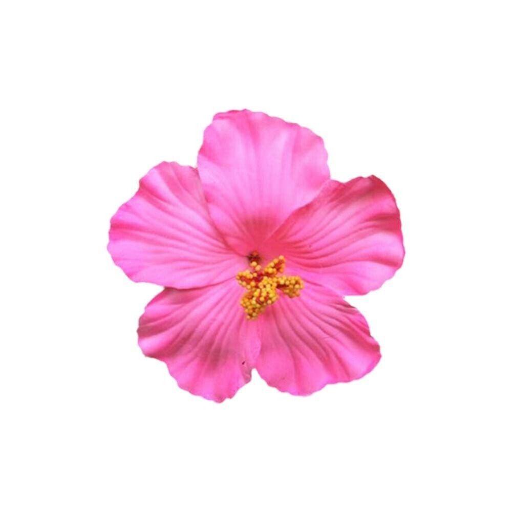 Headwear Hawaiian Flower Hair Clips Side Bangs Clip Hair Accessories Artificial Flower Clips Romantic