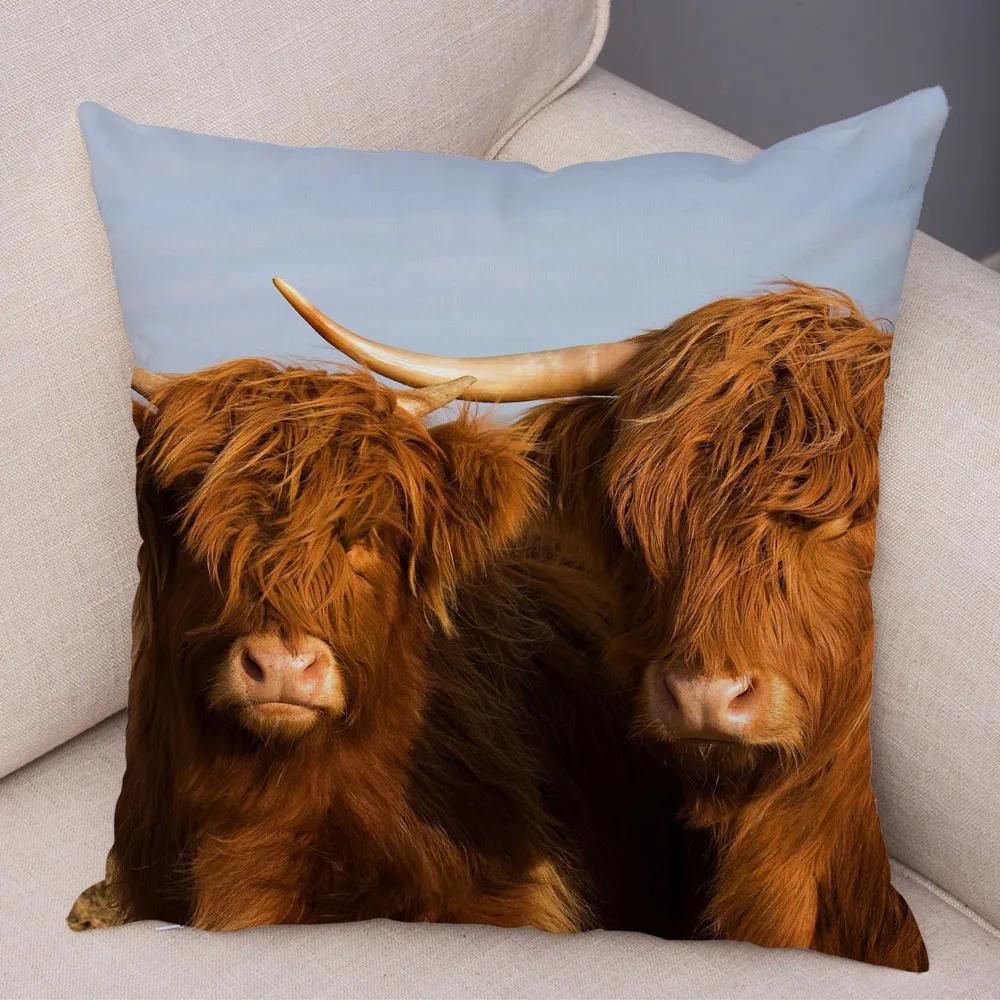 Scotland Kyloe Pillow Case Decor Wild Cow Colorful Animal Print Pillowcase Soft Short Plush Cushion Cover for Home Sofa 45x45cm