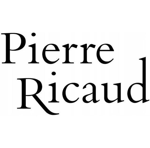 Часы Pierre Ricaud P22096.111Aq