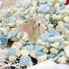 Cute Angel Bear Keychain Hanging Ornament Backpack Handbag Charm for Girls Wome
