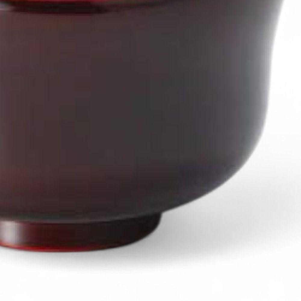 Lacquerware Dishwasher Made in Japan J-kitchens Bowl, Hand-Painted, Safe, PID-528244,