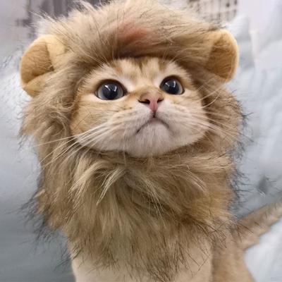 Polyester Portable And Convenient Lion Mane Wig For Cats On Go Fun Convenient And Portable