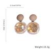 Silver Needle Rhinestone Stud Earrings – Elegant Light Luxury Style, Versatile and High-end Jewelry for Women