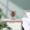 Ananas Pflanzenständer Geometrischer Luftpflanzenständer Puderdosenhalter Roségold (Material: Metall, Größe: Durchmesser 55MM)