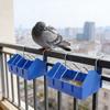 Cage Mounted Feeders for Small Poultry Thick Shatterproof and Removable Wire Dividers Accommodating Multiple Birds Comfortably