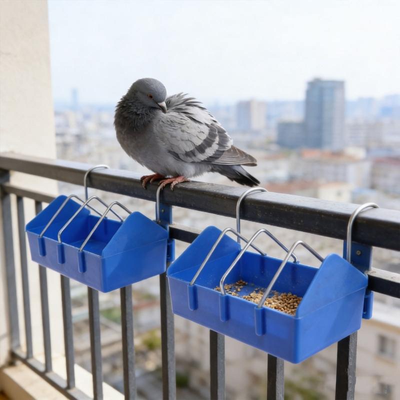 Cage Mounted Feeders for Small Poultry Thick Shatterproof and Removable Wire Dividers Accommodating Multiple Birds Comfortably
