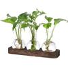 3/5pcs Bottles Plant Terrarium Propagation Station Transparent Desktop Decorating Flowerpot  Patio