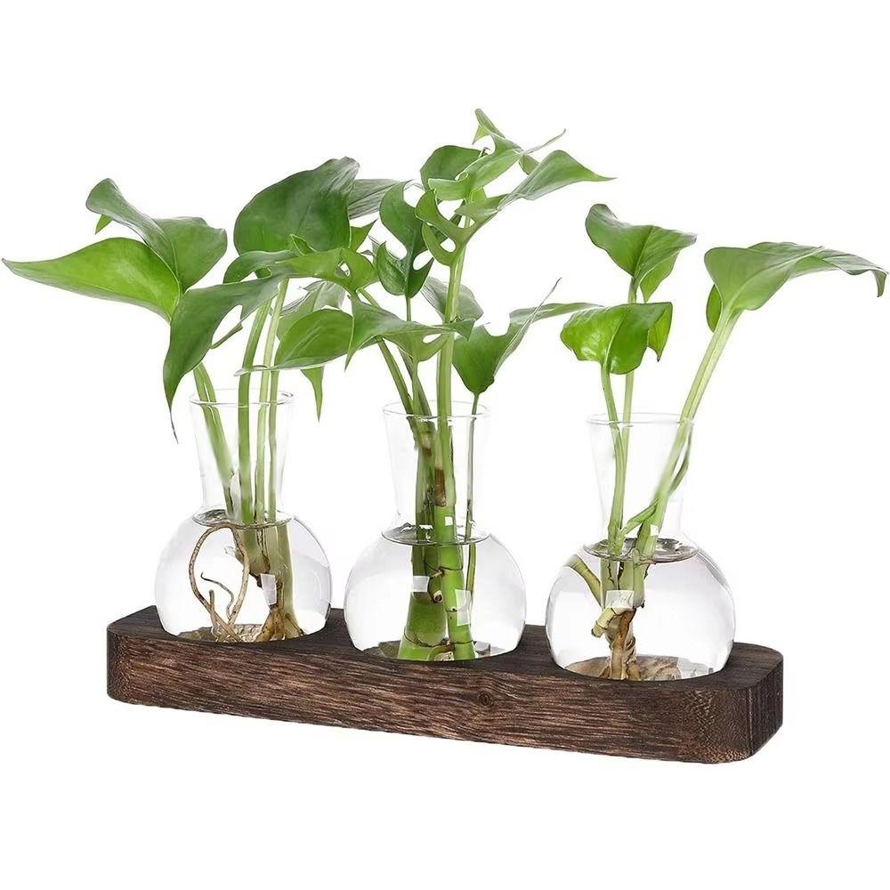 3/5pcs Bottles Plant Terrarium Propagation Station Transparent Desktop Decorating Flowerpot  Patio