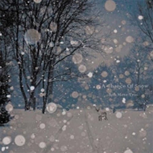 

CD BOB METE TRIO - Chance Of Snow REDD001 Non Japan Jazz Used