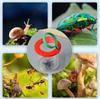 Children Crawlers Animal Spider Insect Box 3X 6X Magnifying Glass Insect Cage Bug Jar for Science Outdoor Nature Exploration