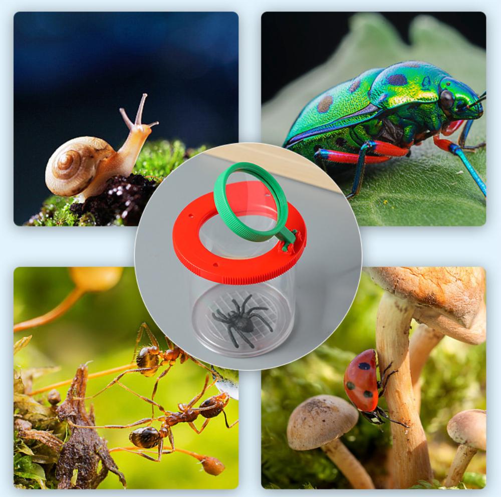 Children Crawlers Animal Spider Insect Box 3X 6X Magnifying Glass Insect Cage Bug Jar for Science Outdoor Nature Exploration