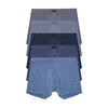 [TERAWOOD HOMEWEAR] Men's Inting Cooling Rayon Trunks 5-Pack [Shipped from Korea] 100% Authentic