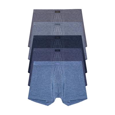 [TERAWOOD HOMEWEAR] Men's Inting Cooling Rayon Trunks 5-Pack [Shipped from Korea] 100% Authentic